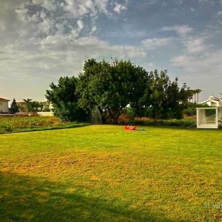 Constantaras Apartments Protaras Eksteriør billede